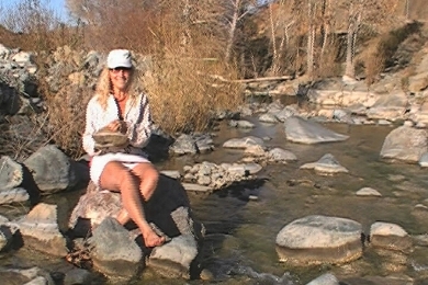 on the rock
